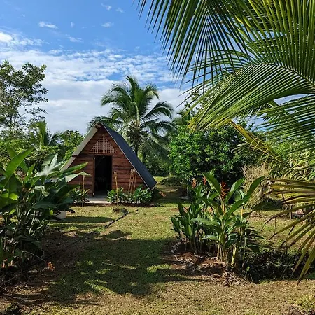 Bewak Cr Hotel Tortuguero Exterior photo