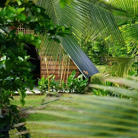 Bewak Cr Hotel Tortuguero Exterior photo