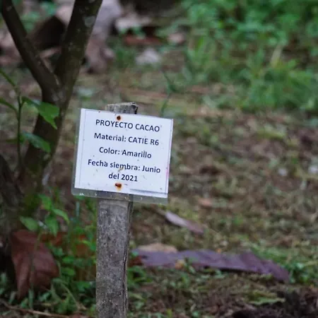 Bewak Cr Hotel Tortuguero Exterior photo