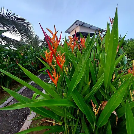 Bewak Cr Hotel Tortuguero Exterior photo