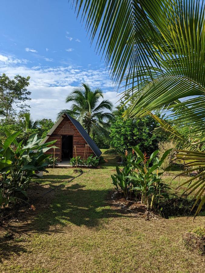 Bewak Cr *