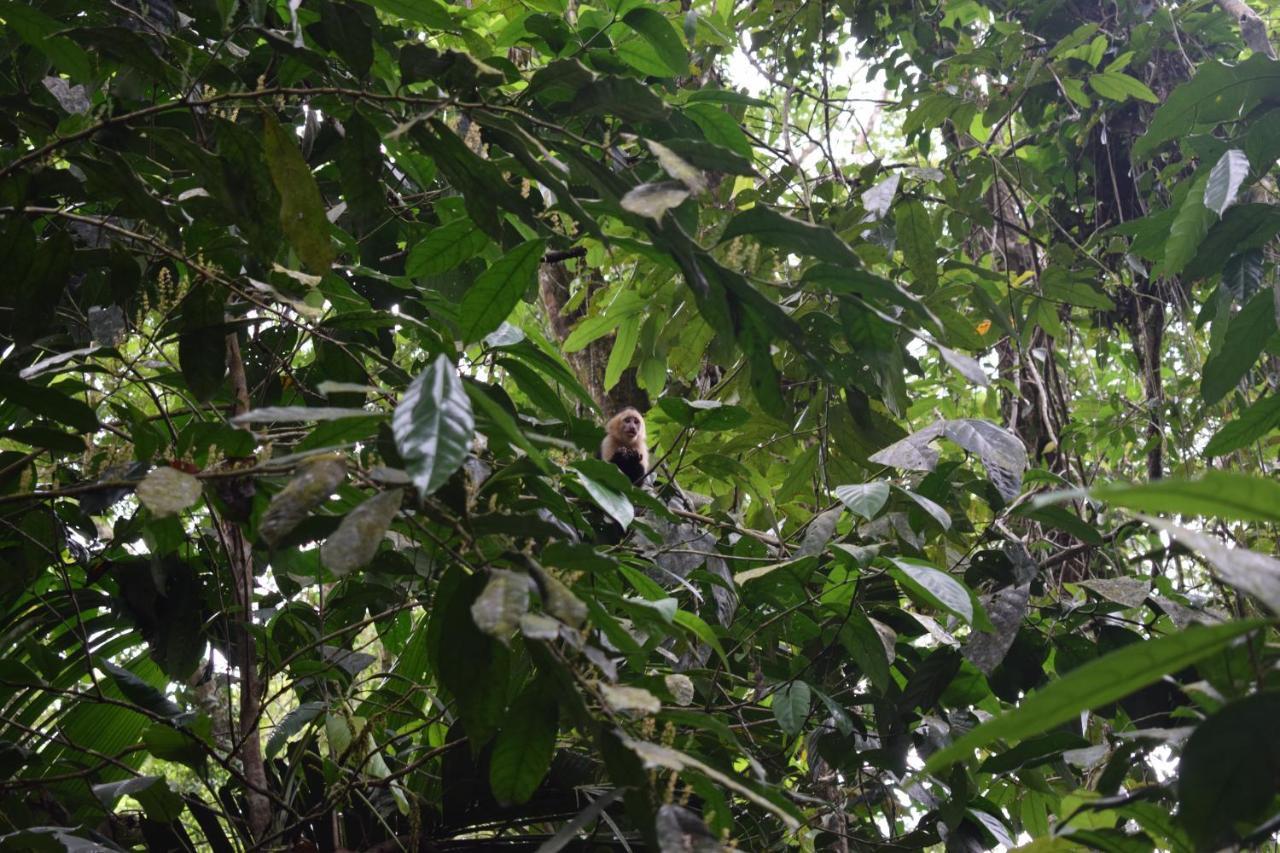 Bewak Cr
