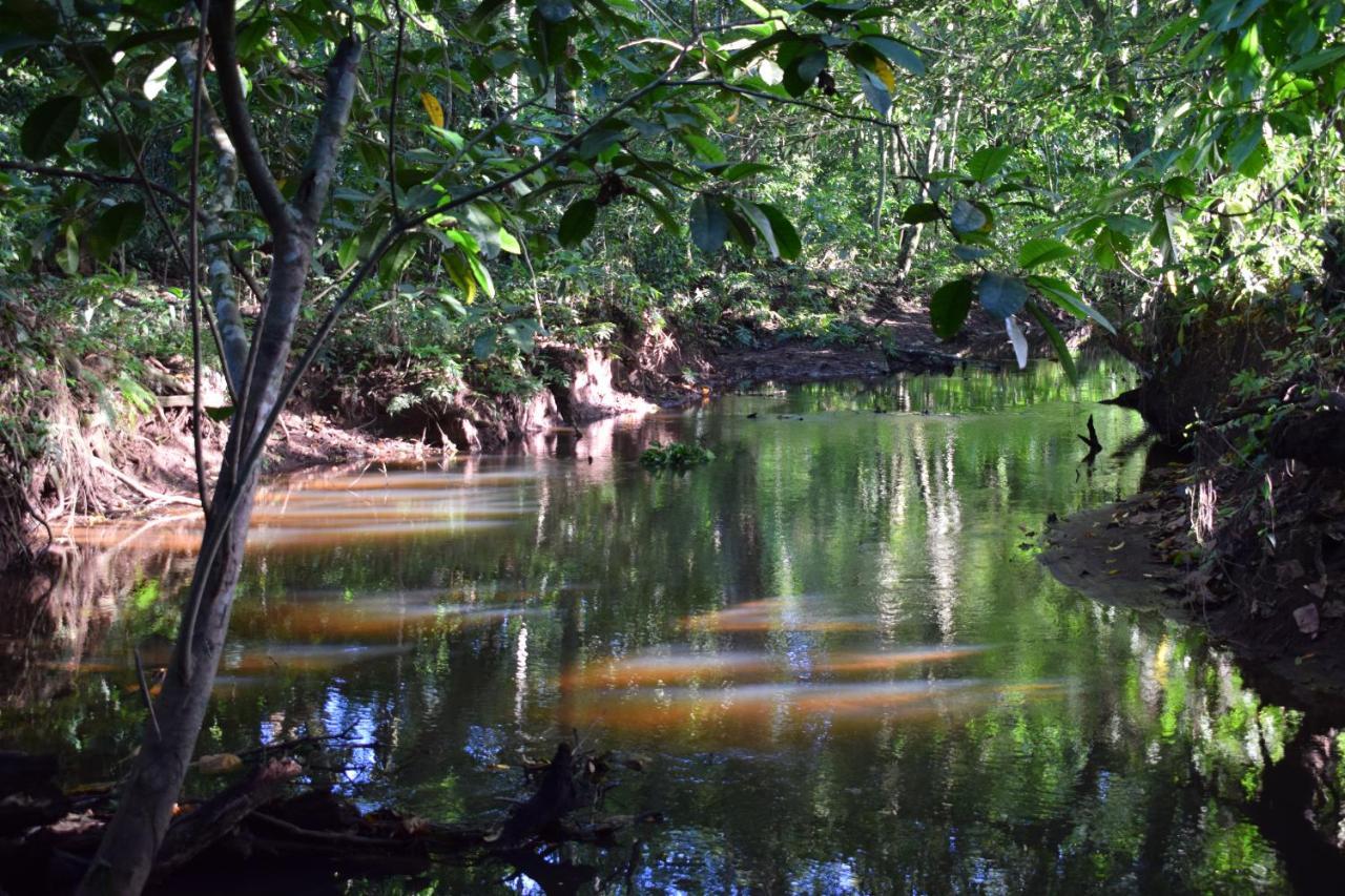Bewak Cr * Tortuguero