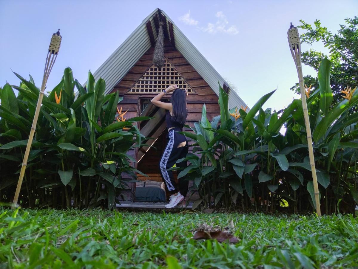 Campsite Bewak Cr *