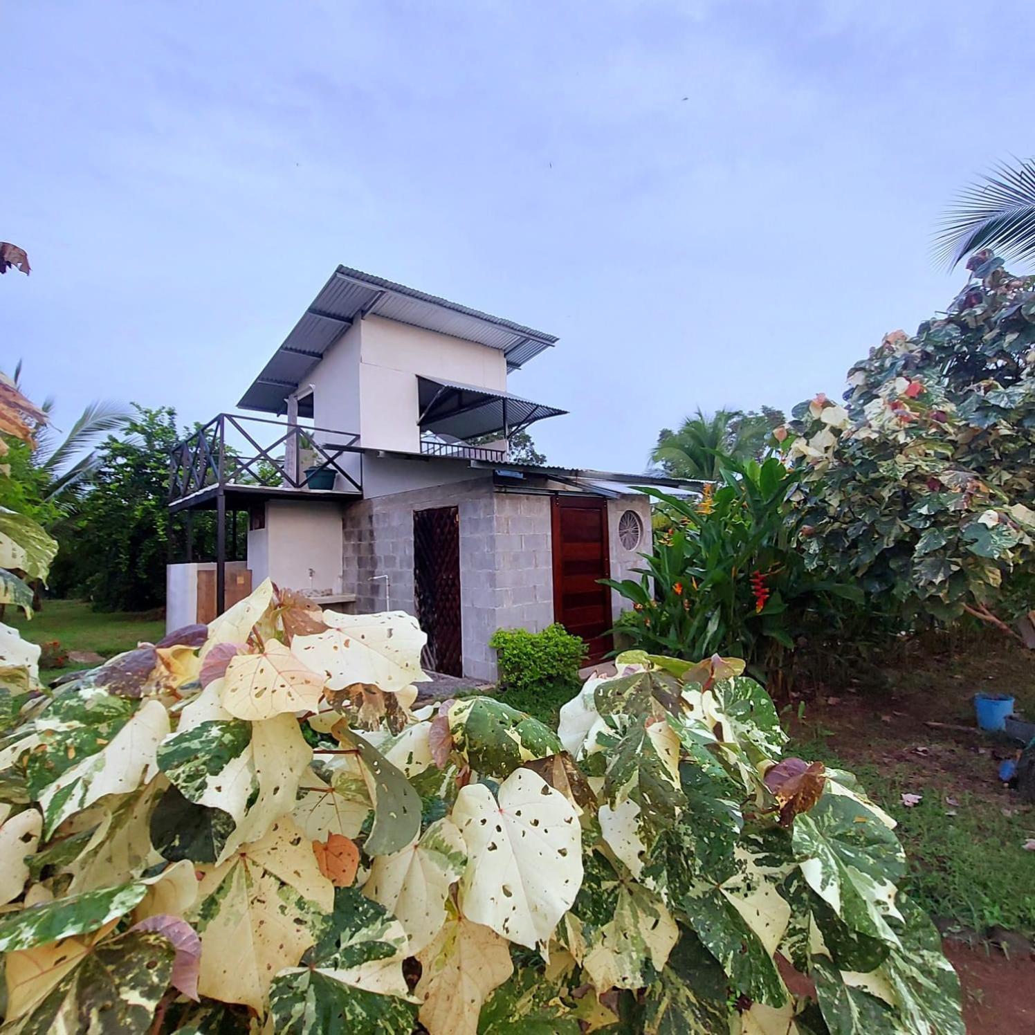 Bewak Cr Campsite
