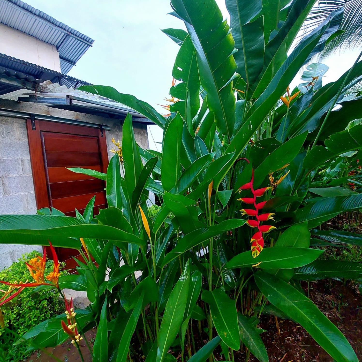 Bewak Cr