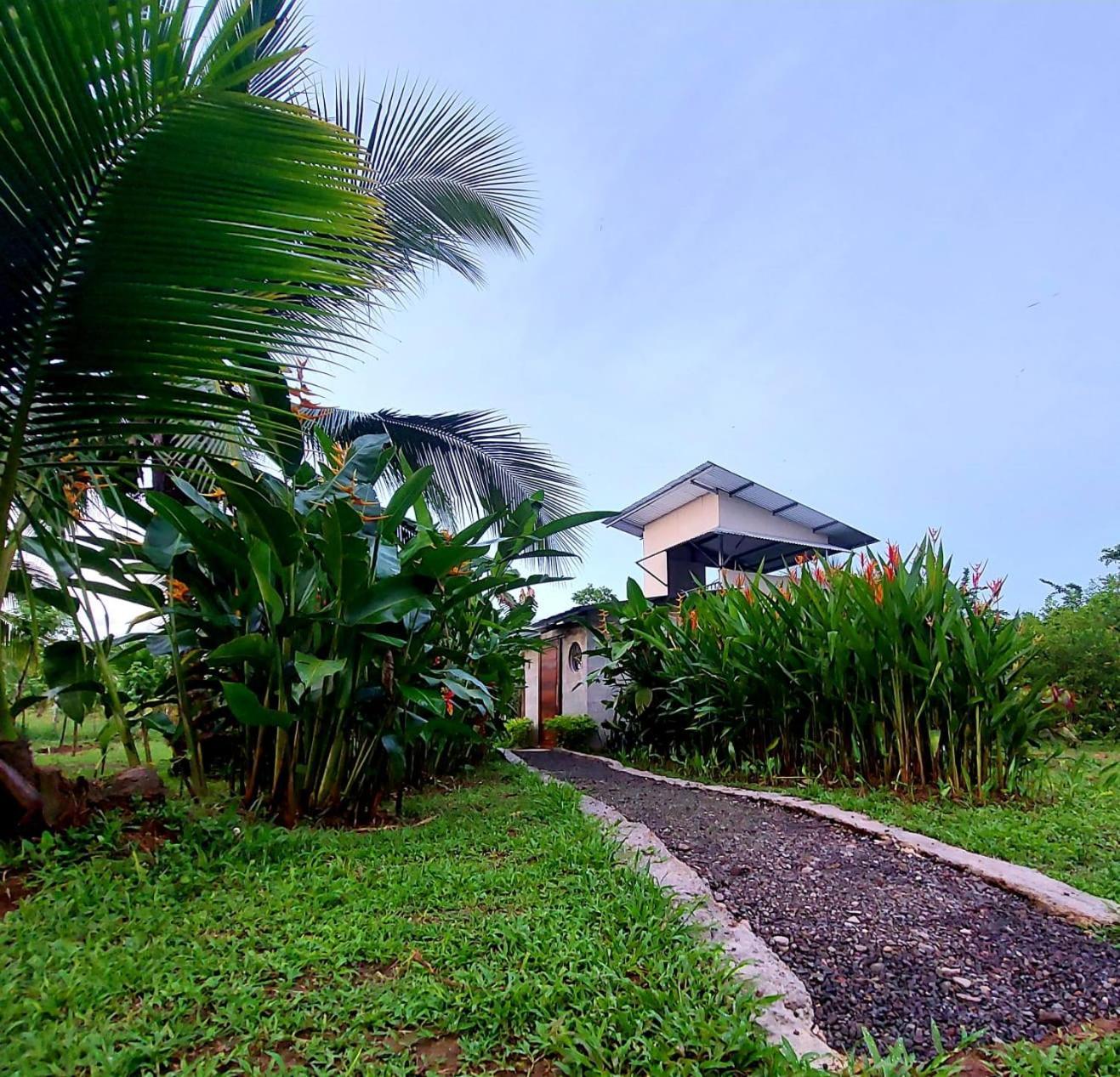 Bewak Cr Campsite Tortuguero